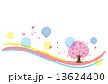 桜　花　ピンク　春　ドット 13624400