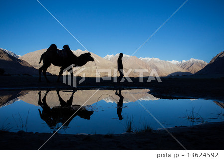 Caravan of travellers riding camels in silhoulette Caravan of travellers riding camels in silhoulette 13624592