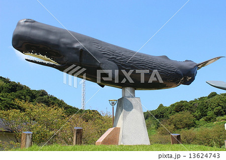 くじらの眠る丘 マッコウクジラの像 13624743