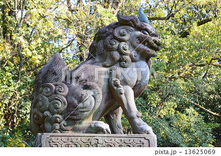 狛犬 八坂神社 京都市東山区祇園町 の写真素材