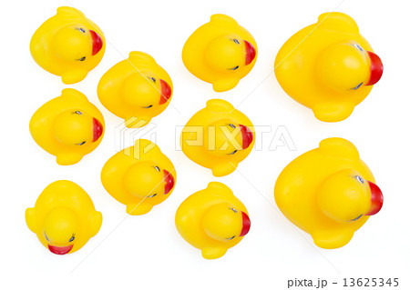 Rubber duck 13625345