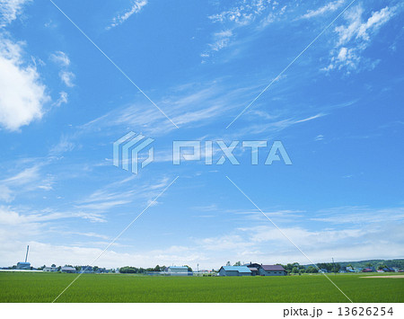 空と雲と田んぼ 13626254