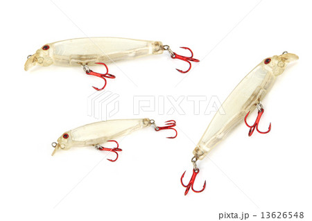 The luer is minnow. The luer is minnow. 13626548