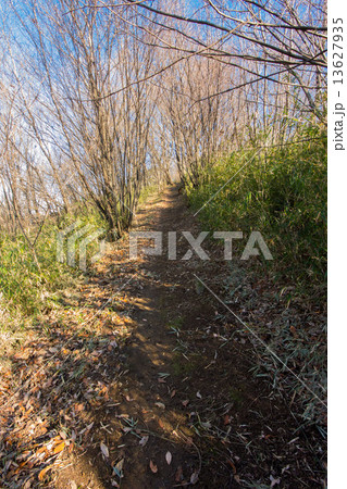 平山城址公園 13627935