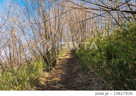 平山城址公園 13627936