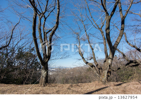 平山城址公園 13627954
