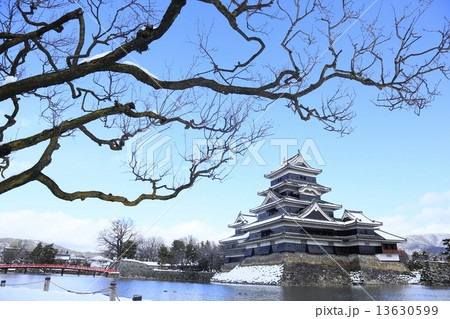 冬の松本城 13630599