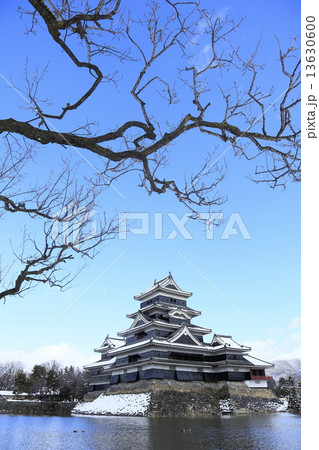 冬の松本城 13630600