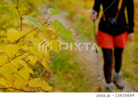 紅葉の登山 13630694