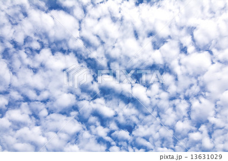 高積雲の空 高積雲の空 13631029