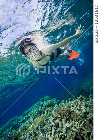 グレートバリアリーフでシュノーケリングをする女性 13631617