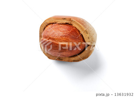 damaged nut damaged nut 13631932