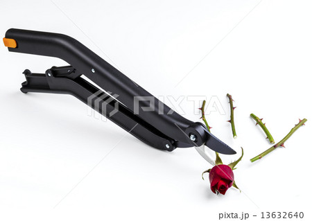 garden secateurs 13632640