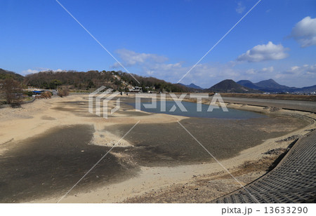 溜池の「池干し」（香川県三豊市豊中町の宮池、対岸は熊岡八幡宮） 13633290