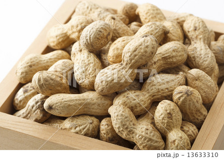 升に入った落花生 13633310
