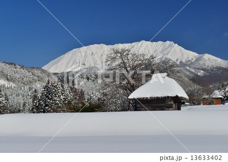 冬の大山 13633402