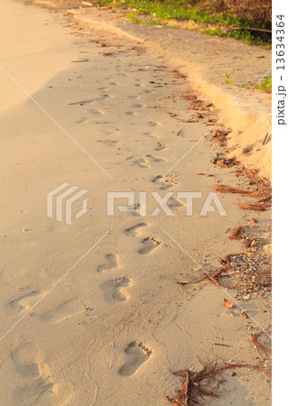 Footsteps on the beach 13634364