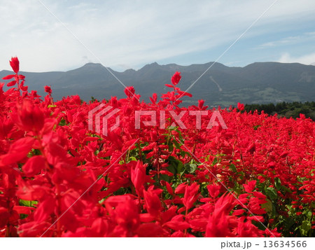 那須連峰 13634566