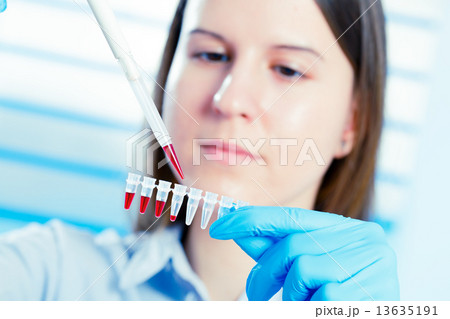 food quality control 13635191