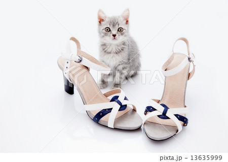 sandals 13635999