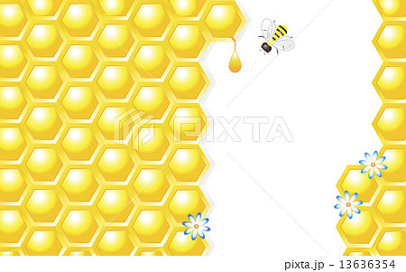 Honey Design Vector Illustration 13636354