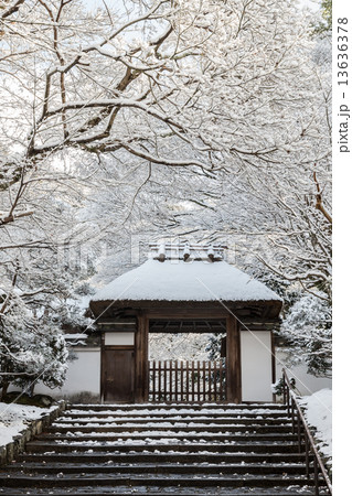 冬の安楽寺 13636378