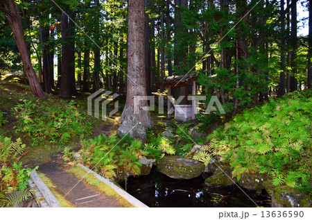 函館見晴公園・香雪園 13636590
