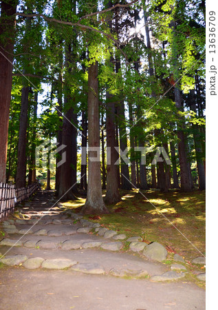 函館見晴公園・香雪園　敷地 13636709