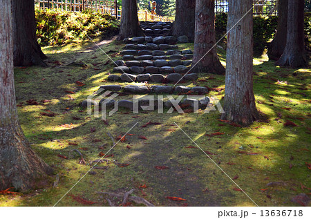 函館見晴公園・香雪園　敷地 13636718