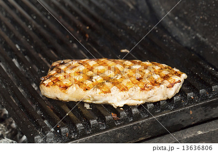 cooking catfish meat on the grill 13636806