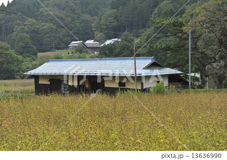 古民家 古民家 13636990