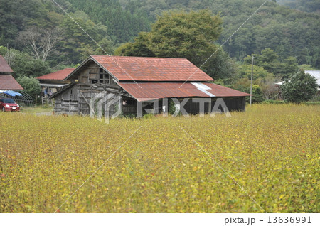 古民家 古民家 13636991