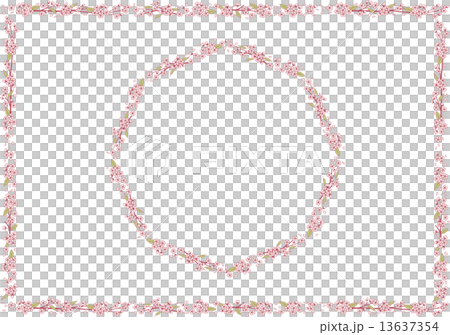 桜の飾り罫1 13637354