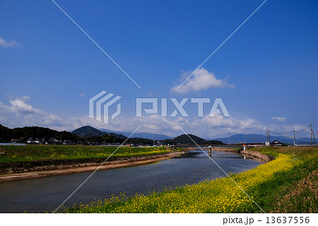遠賀川の風景 13637556