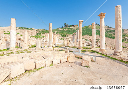 タバカット・ファハル(ヨルダン、イルビッド西) 13638067