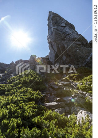 北岳の奇岩 北岳の奇岩 13638612