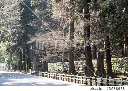 平林寺 平林寺 13638978