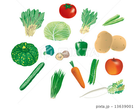 野菜シリーズ 13639001