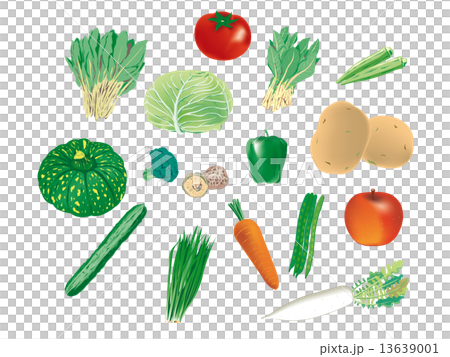 野菜シリーズ 13639001