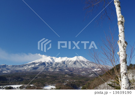 冬の御嶽山　厳寒の白樺　九蔵峠より 13639190