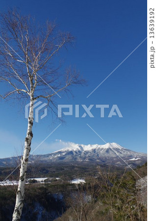 冬の御嶽山　厳寒の白樺　九蔵峠より 13639192
