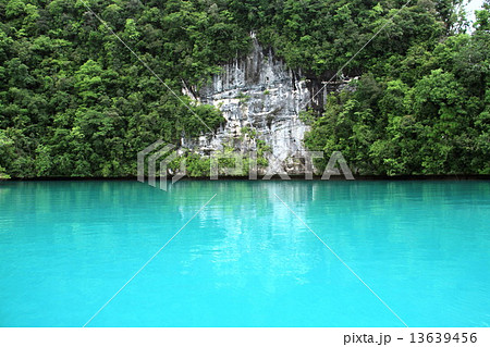 ミルキーウェイ ミルキーウェイ 13639456