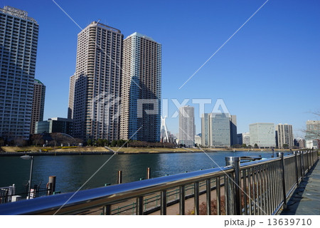 1月都市の風景・街並み703月島高層ビル群 13639710