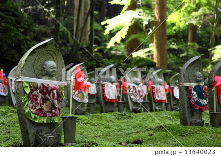 金剛輪寺の千体地蔵 金剛輪寺の千体地蔵 13640023