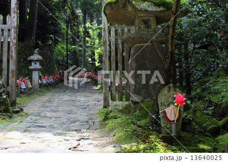 金剛輪寺の千体地蔵 13640025