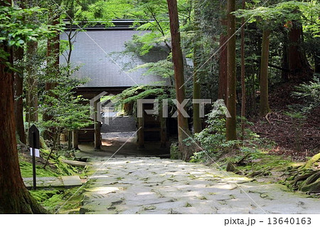 百濟寺の仁王門 13640163