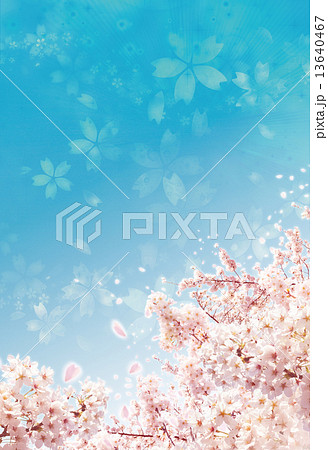 さくら 13640467