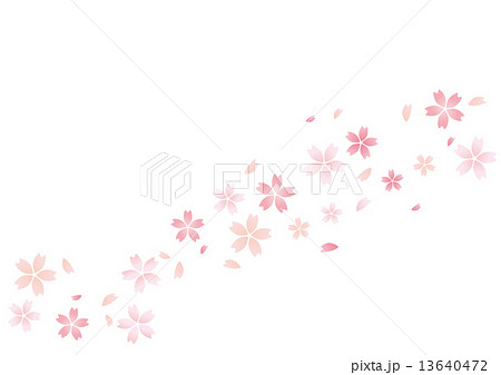 さくら舞う 13640472