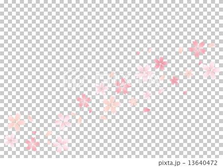 Sakura dance 13640472