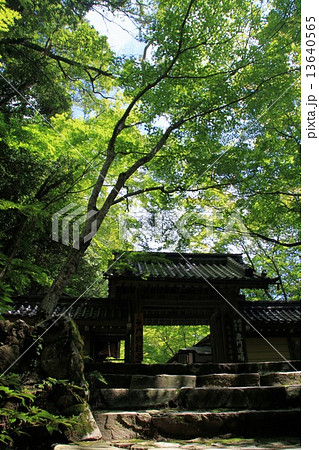 永源寺 永源寺 13640565